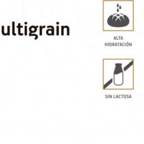 Bistró multigrain