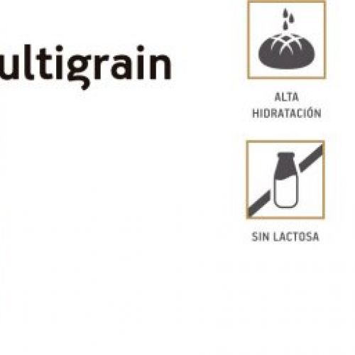 Barra multigrain